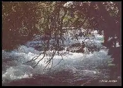 x06211; Upper Galilee. The Jordan River.