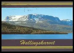 x06370; Hallingskarvet.