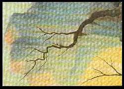 x06508; COLMAR HtRhin MUSEE D'UNTERLINDEN.