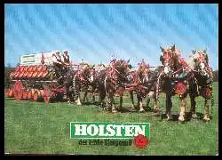 x06837; Holsten. Bier.