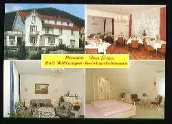 x08376; Bad Wildungen Reinhardshausen. Pension Haus Evelyn.