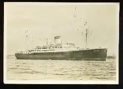 x08403; Doppelschrauben. Motorschiff ,Caribia.