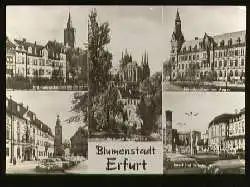 x08576; Erfurt.Blumenstadt.