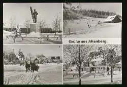 x08768; Altenberg. Erzg. Sanatorium Raup..