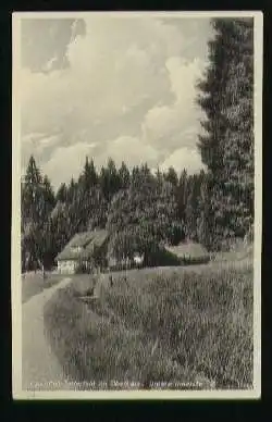 x09605; Clausthal Zellerfeld. Oberharz. Untere Innerste.