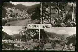 x09652; Sieber im Harz.