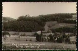 x09782; Burg Lichtenfels bei Dalwigsthal.