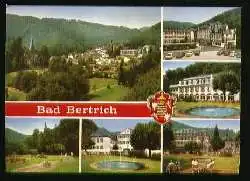 x10172; Bad Bertich.