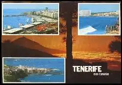 x11205; Tenerife. Islas Canarias.