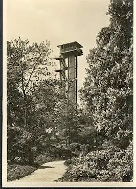 x11543; Internationale Gartenbau Ausstellung Hamburg 1953.
