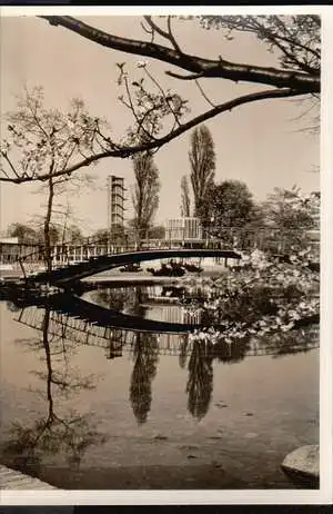 x11628; Internationale Gartenbau Ausstellung Hamburg 1953.