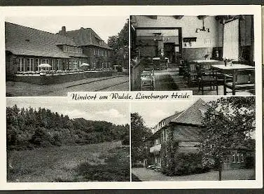 x11639; Nindorf am Walde, Lüneburger Heide.