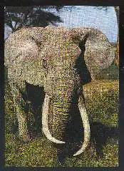 x11740; Elephant.