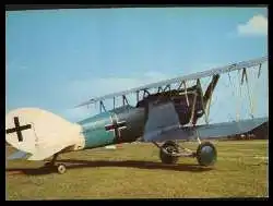 x12271; Pfalz D XII 1918.