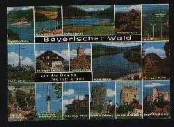 x12829; Bayer. Wald.