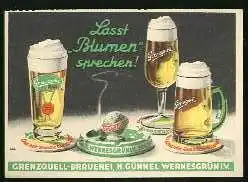 x13290; Lasst Blumen sprechen! Grenzquelle Brauerei, H. Günnel. Wernesgrün i. V.