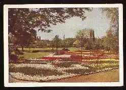 x13319; Hannover 1951. Blick von der Nordbrücke nach der Blumenschau.