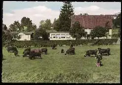 x13800; Hahnenklee Bockswiese. Oberharz. Hotel Pension Haus Sonnenschein.