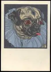 x13806; Hund. Nach einem Farbschnitt von Prof. N. v. Bresslern Roth. Graz.