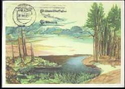 x14257; ALBRECHT DÜRER Weiher im Wald. Nr. x14257 oldthing