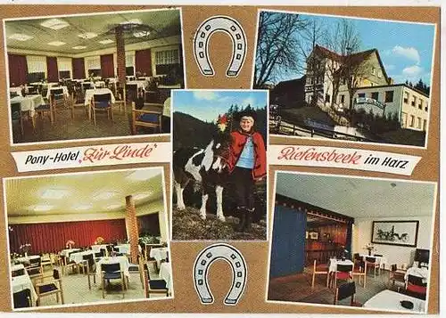x14969; Riefensbeek im Harz. Pony Hotel Zur Linde. Besitzer: K.D. Guse.