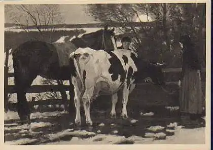 x15125; Junghanns, J.P. Winterabend am Brunnen. Haus der Deutschen Kunst Nr. 404.