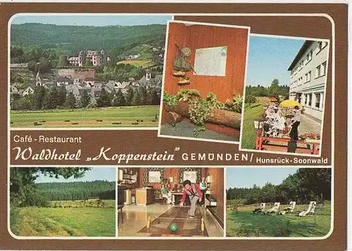 x15405; Gmunden. Waldhotel Koppenstein.