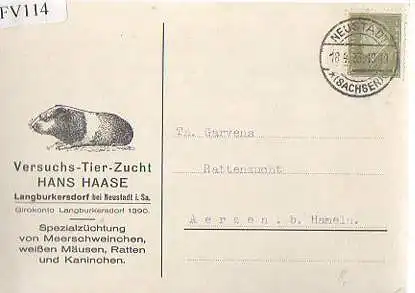 x15714; Firmenkarten; Neustadt a. Sa. Langburkersdorf. Hans Haase. Versuchs Tier Zucht