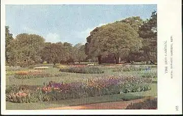 x16085; Garten Ansichtskarten: Royal Botanic Garten, Kew.Ansichtskarten.