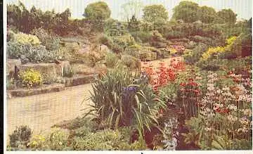 x16086; Garten Ansichtskarten: Royal Botanic Garten, Kew.Rock Garden. Ansichtskarten.