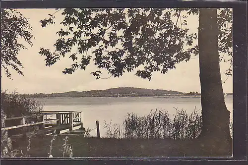 AK Blick über den Wolziger See 1964