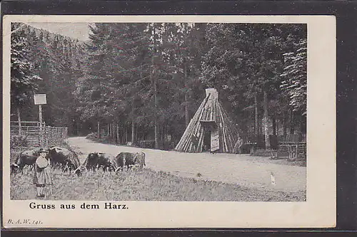 AK Gruss aus dem Harz 1900