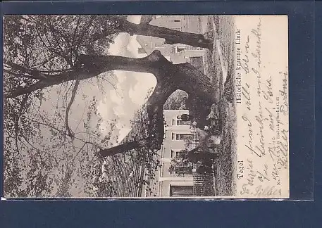 AK Tegel Historische krumme Linde 1908