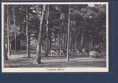 AK Tierpark Möser 1929