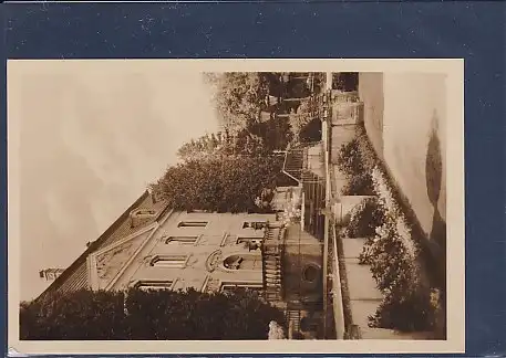 AK Cottbus Heimatmuseum 1952