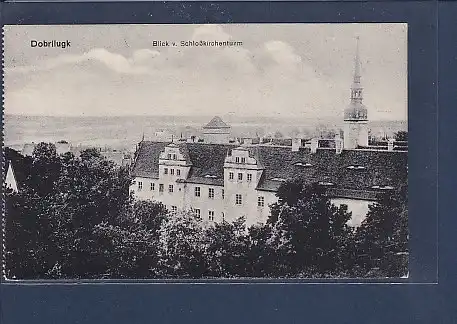 AK Dobrilugk Blick v. Schloßkirchenturm 1920