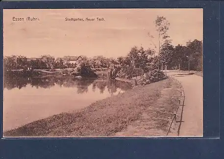 AK Essen ( Ruhr) Stadtgarten Neuer Teich 1920