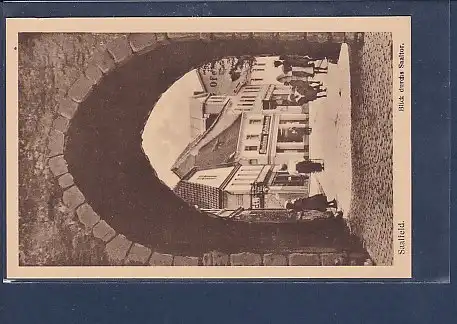 AK Saalfeld Blick durchs Saaltor 1930