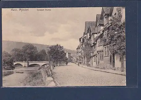 AK Hann. Münden Vorstadt Blume 1913