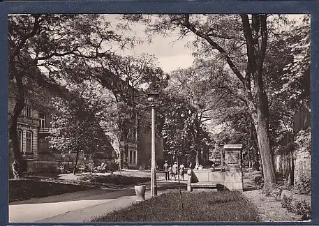 AK Aschersleben Augustapromenade mit Schillerbank 1973