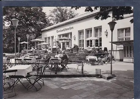 AK Dresden Carolaschlößchen im Großen Garten 1974