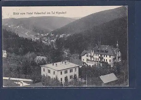 AK Blick vom Hotel Kaiserhof ins Tal Kipsdorf 1925