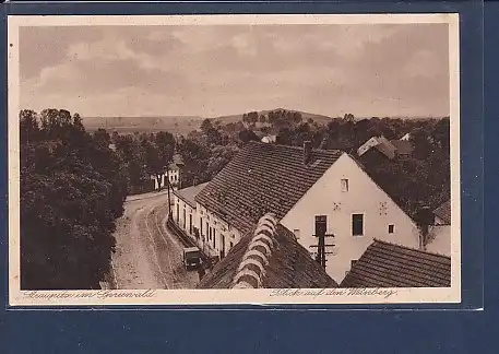 AK Straupitz im Spreewald Blick auf den Weinberg 1928