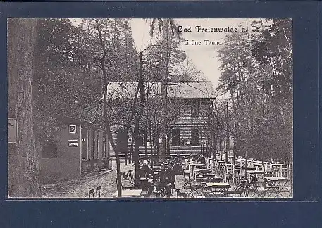 AK Bad Freienwalde a.O. Grüne Tanne 1920