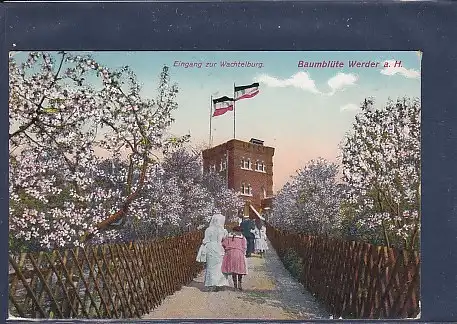AK Baumblüte Werder a.H. Eingang zur Wachtelburg 1912