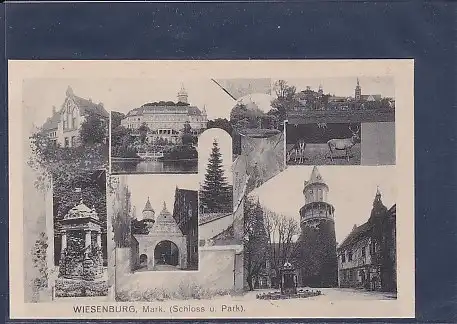 AK Wiesenburg Mark ( Schloss u. Park) 1920