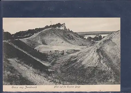 AK Gruss aus Zwiebusch Blick auf die Gosener Berge 1920