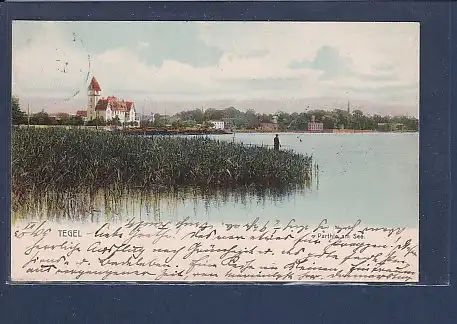 AK Tegel Parthie am See 1903