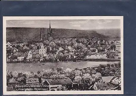 AK Baumblüte Werder ( Havel) Inselstadt Panorama 1950