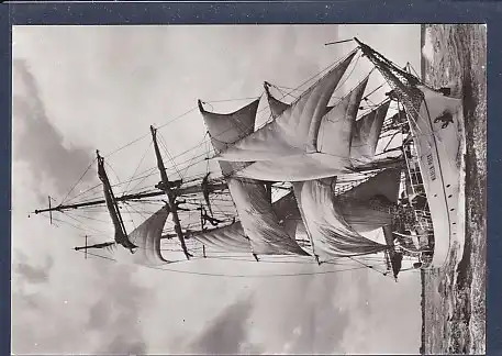 AK Segelschulschiff Wilhelm Pieck 1980